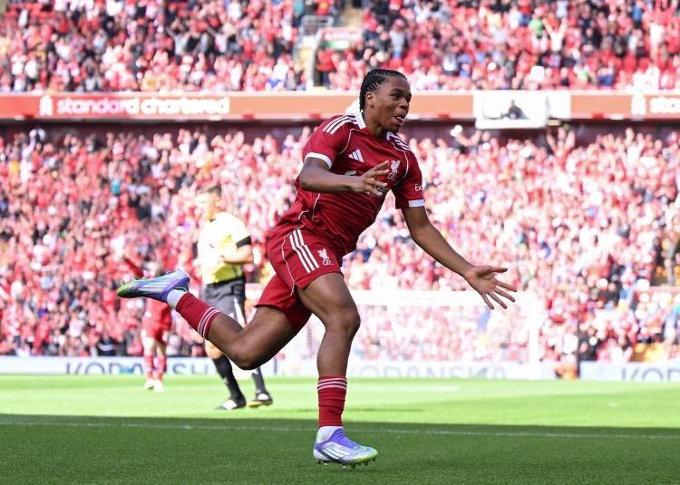 回声报:利物浦只会买能当主力的前锋,恩古莫哈被视为一线队成员